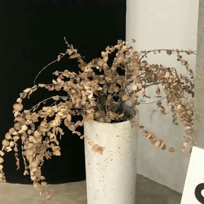 晋江福瑞交流群